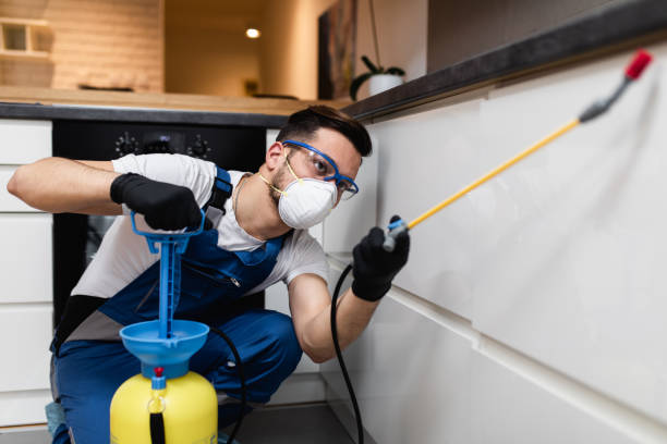 Reliable Berkley, MI Pest Control Solutions