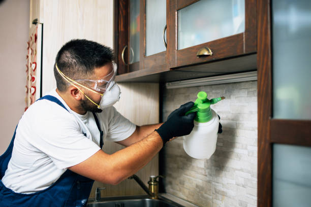 Best Bed Bug Extermination  in Berkley, MI