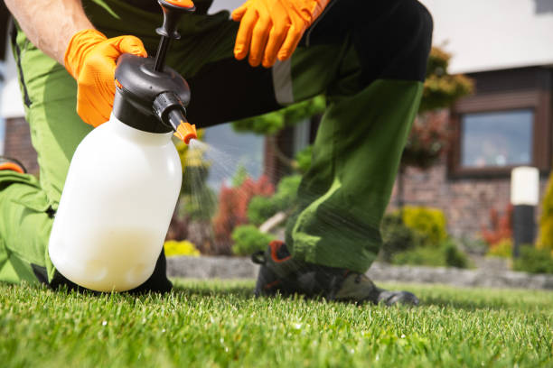 Best Cockroach Control Services  in Berkley, MI
