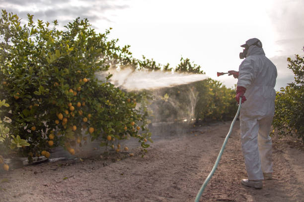 Best Residential Pest Control  in Berkley, MI