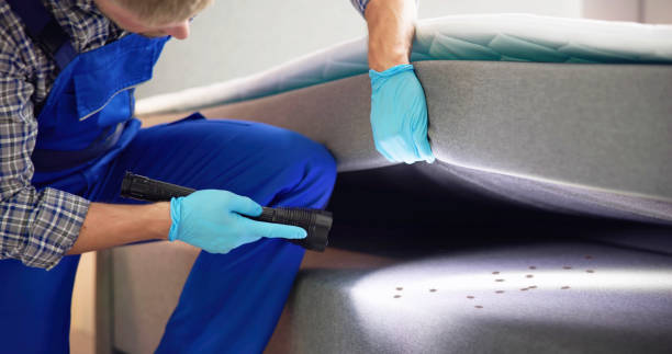 Best Pest Control Near Me  in Berkley, MI