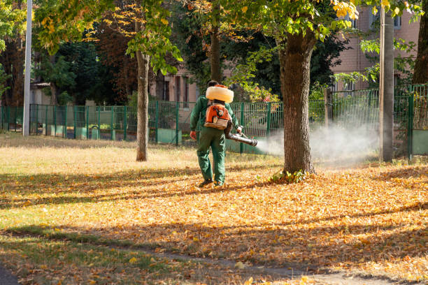 Best Exterminator Services  in Berkley, MI