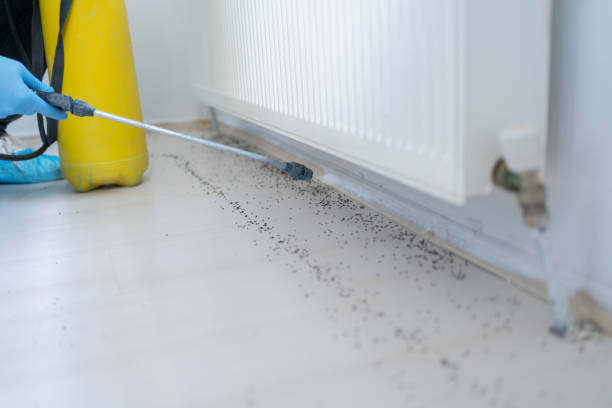 Best Best Pest Control Companies  in Berkley, MI