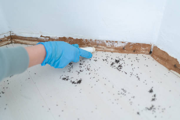 Best Affordable Pest Control Services  in Berkley, MI