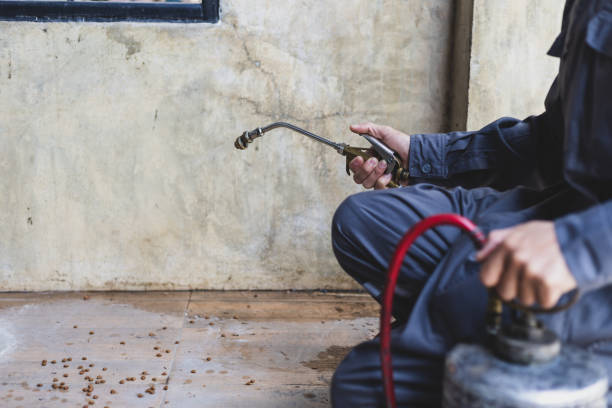 Best Pest Removal Services  in Berkley, MI